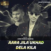 Aara Jila Ukhad Dela Kila