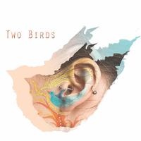 Two Birds