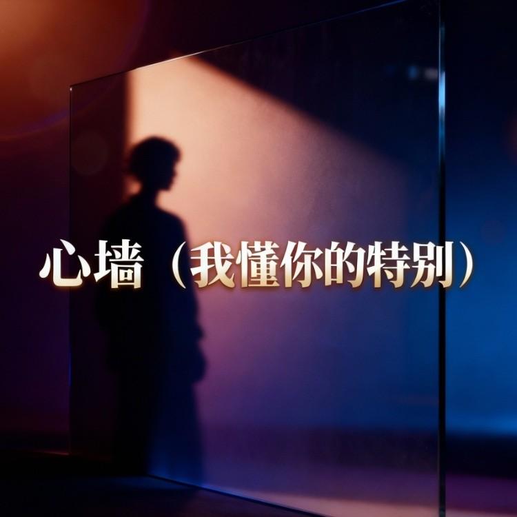 心墙（我懂你的特别） - 大头针封面
