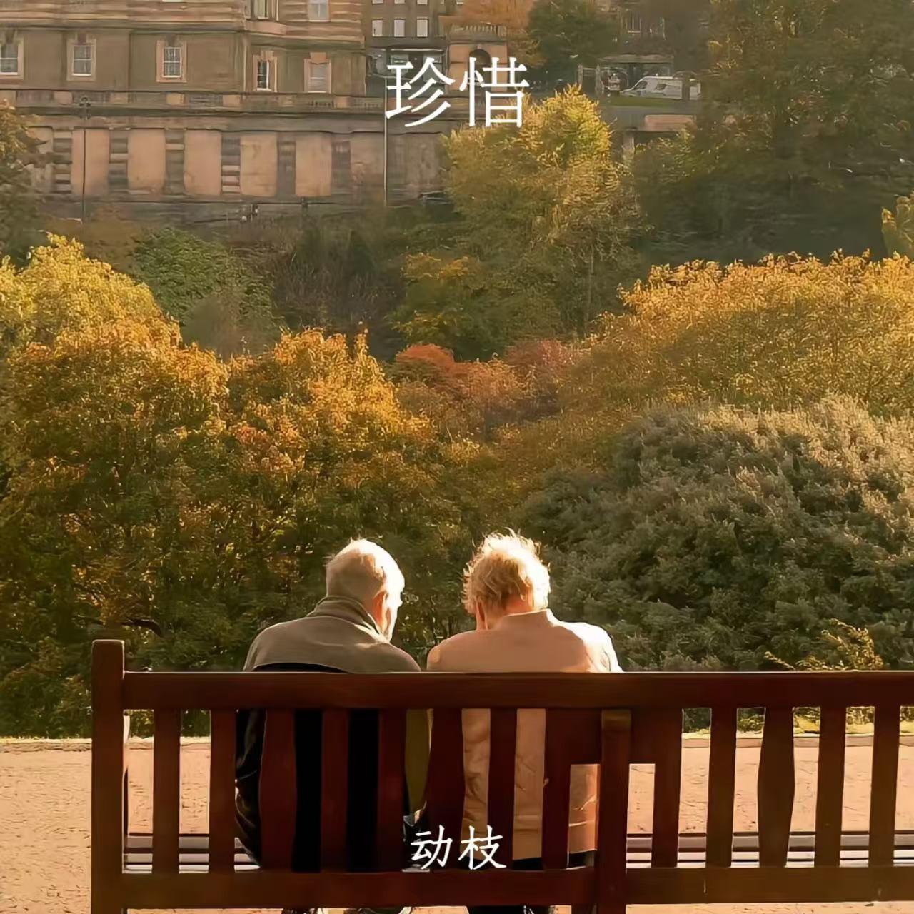 珍惜_动枝_珍惜 | 在线播放_珍惜歌词_珍惜下载 | 网易云音乐