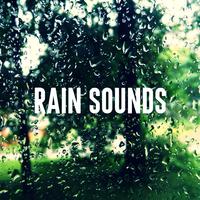 Rain Sounds