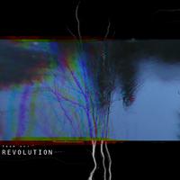 Revolution (feat. nimbustwokay, waerry & plante carnivore)