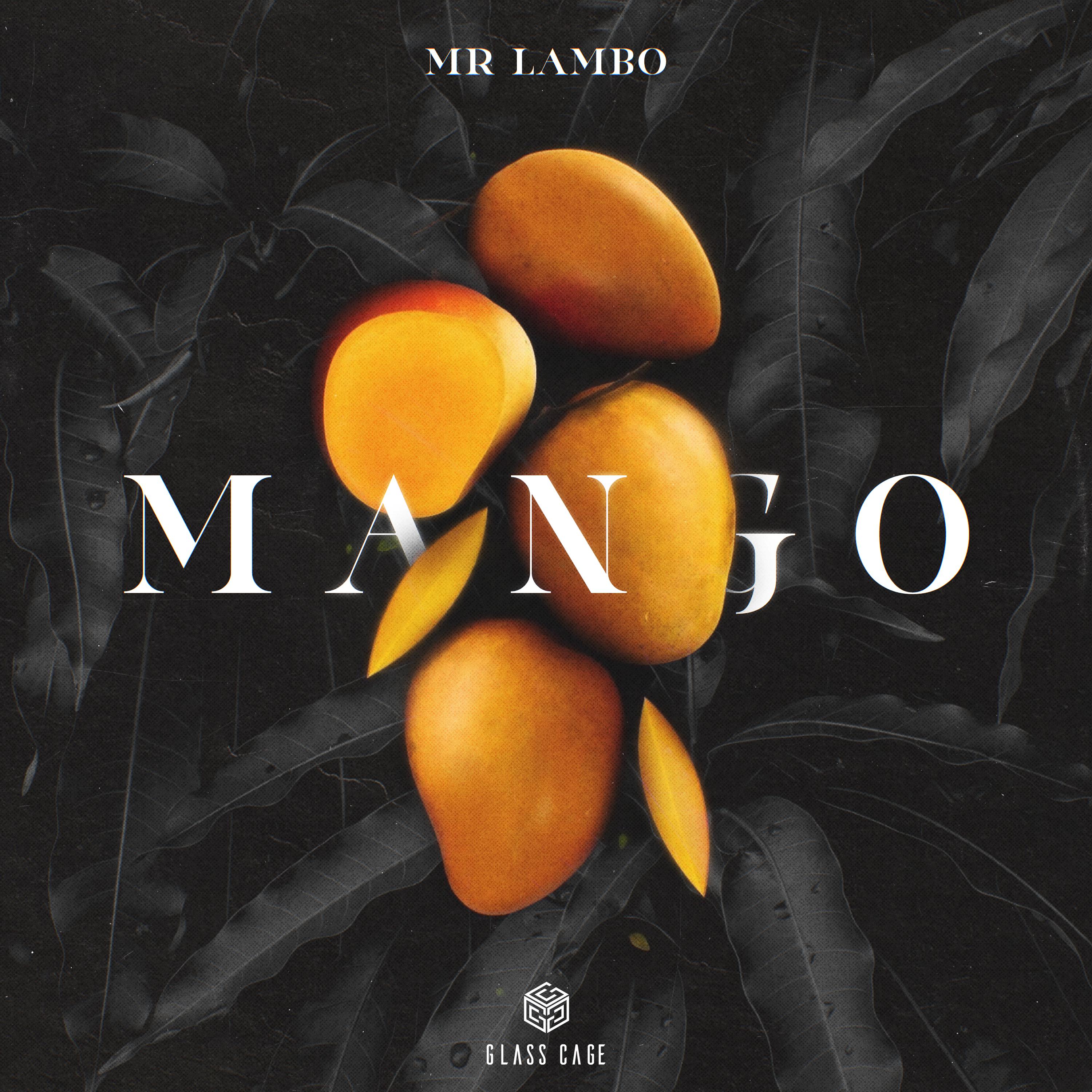 Mango，Mr Lambo，《Mango》专辑，《Mango》专辑下载，《Mango》专辑在线试听，《Mango》专辑歌曲，《Mango...