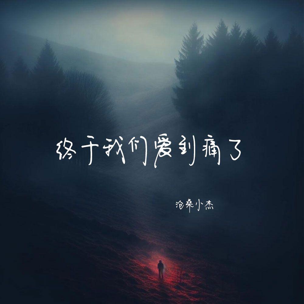 终于我们爱到痛了(伴奏) - 沧桑小杰封面