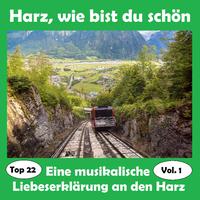 Top 22: Harz, wie bist du schön - Eine musikalische Liebeserklärung an den Harz, Vol. 1