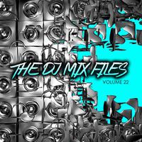 The DJ Mix Files, Vol. 22