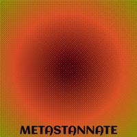 Metastannate