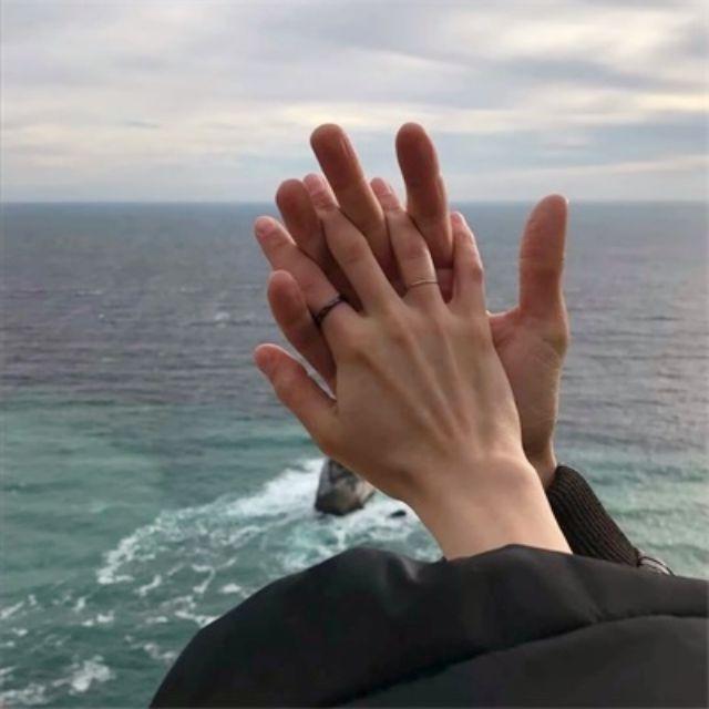 虫儿飞 (哄睡版)封面