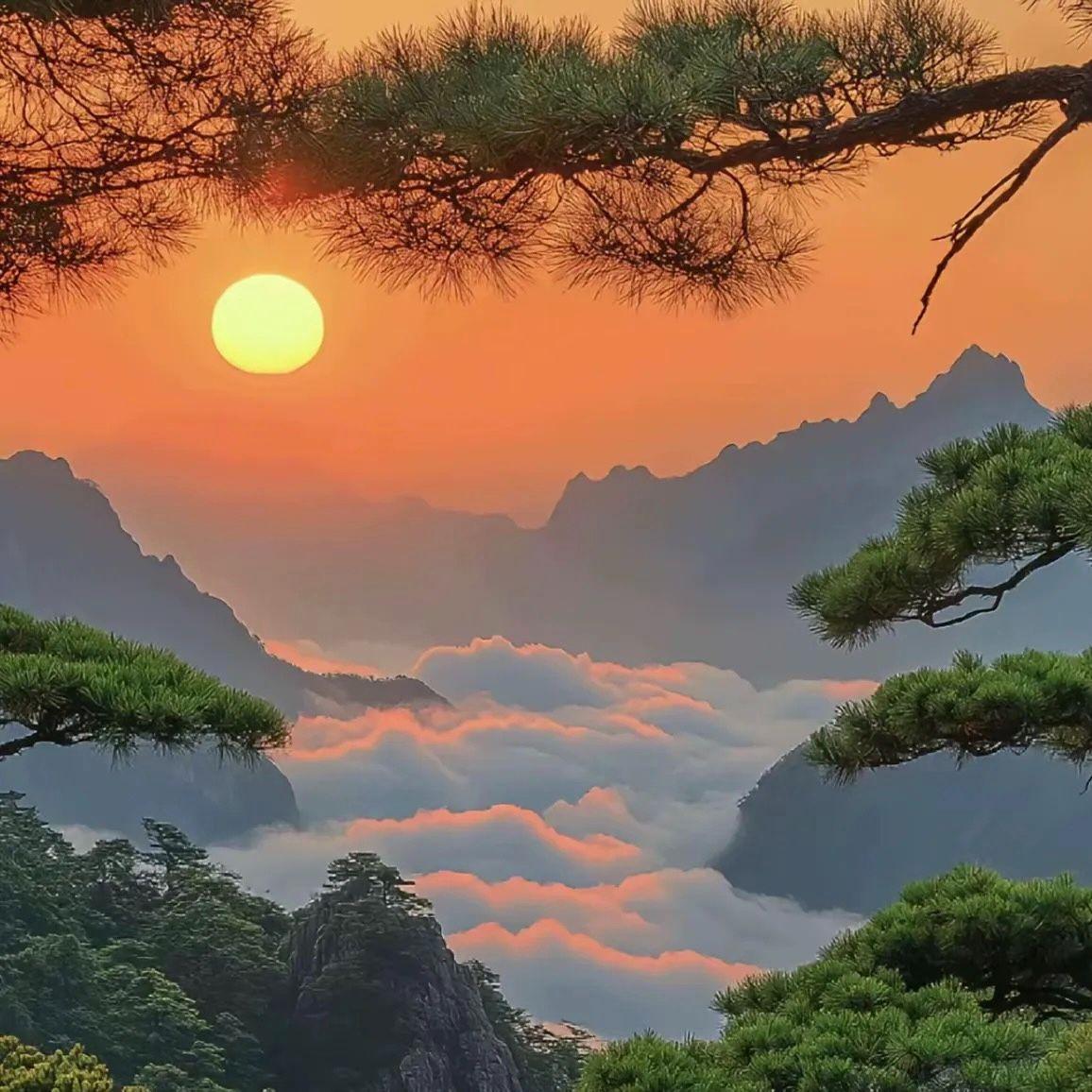 汗孔排放的身份焦虑