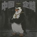 中国企鹅专辑