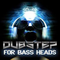 Dubstep for Bass Heads