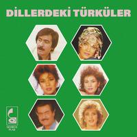 Dillerdeki Türküler