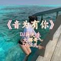 光明 (DJ版)封面
