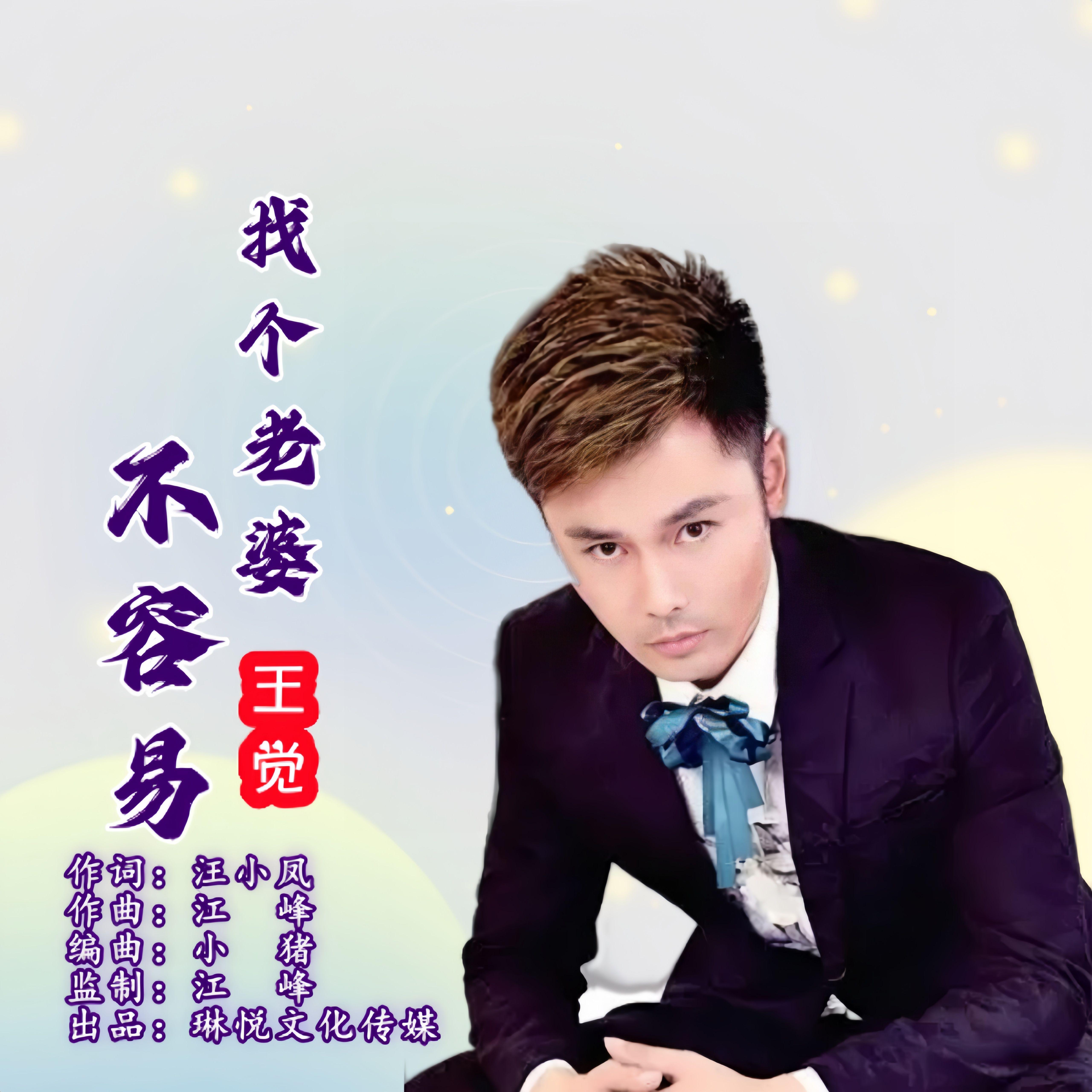 找个老婆不容易封面