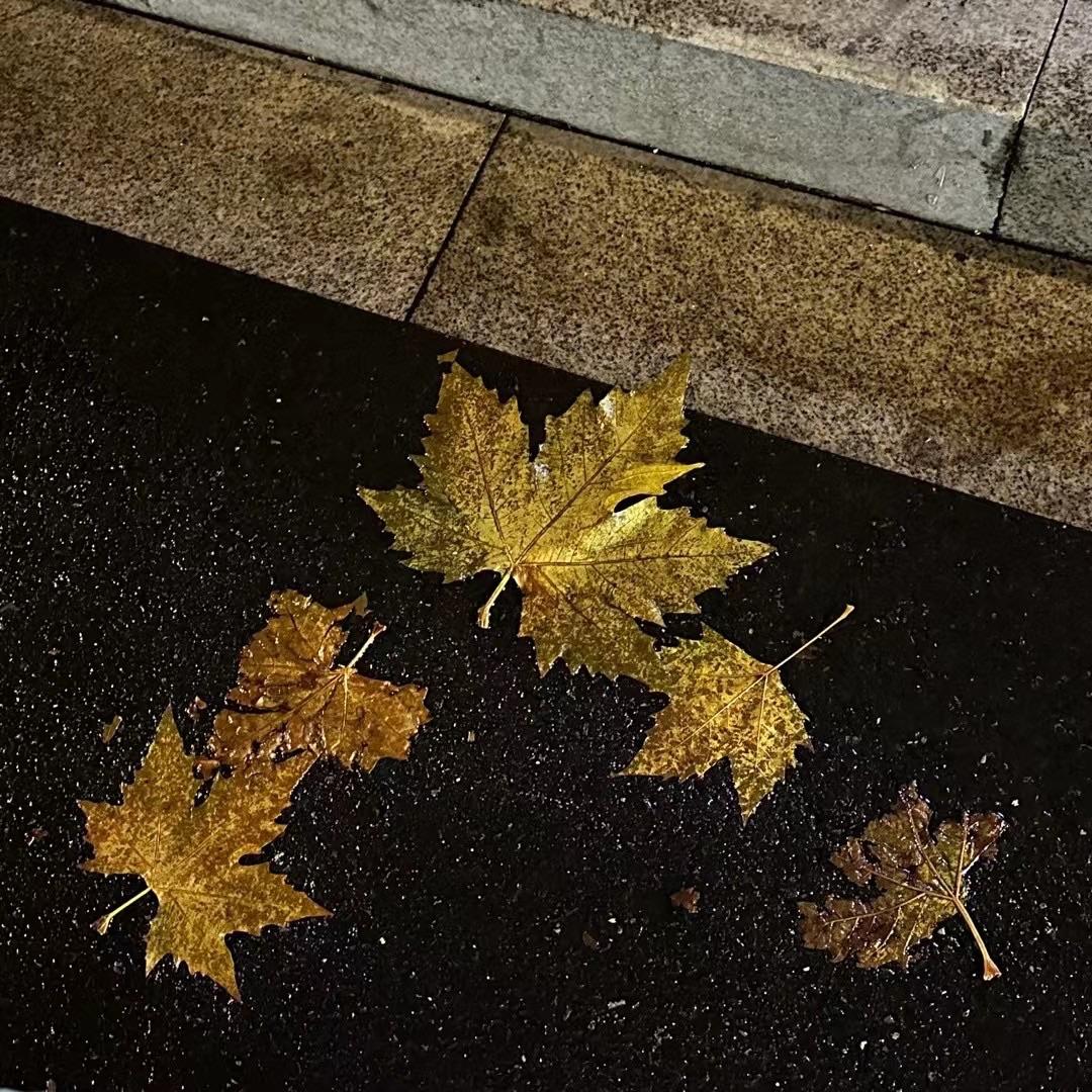 说谎(cover 林宥嘉)封面
