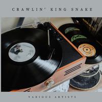 Crawlin' King Snake