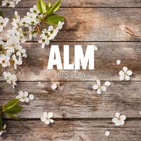 Alm Hits 2014