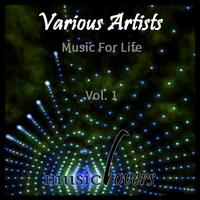 Music for Life, Vol. 1