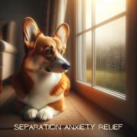 Separation Anxiety Relief: Music Therapy for Anxious Dogs and Their Loving Owners