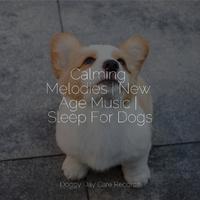 Calming Melodies | New Age Music | Sleep For Dogs