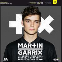Martin Garrix Mashups