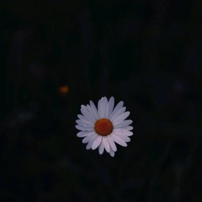穷极一生到不了的天堂封面