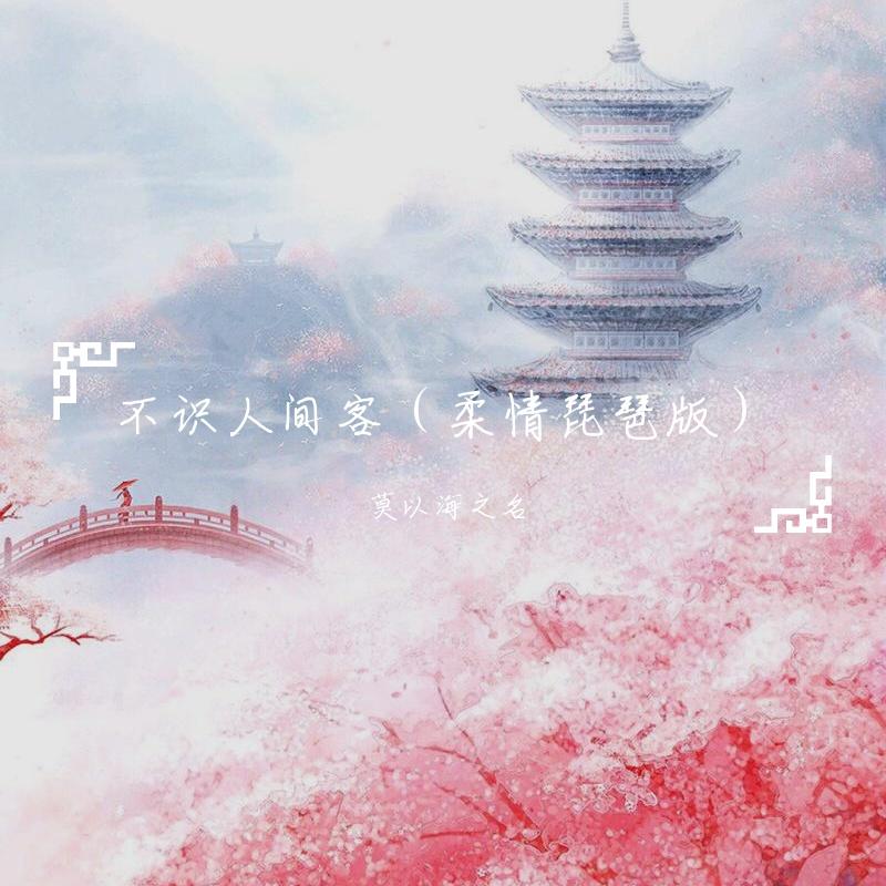 不识人间客（柔情琵琶版）封面