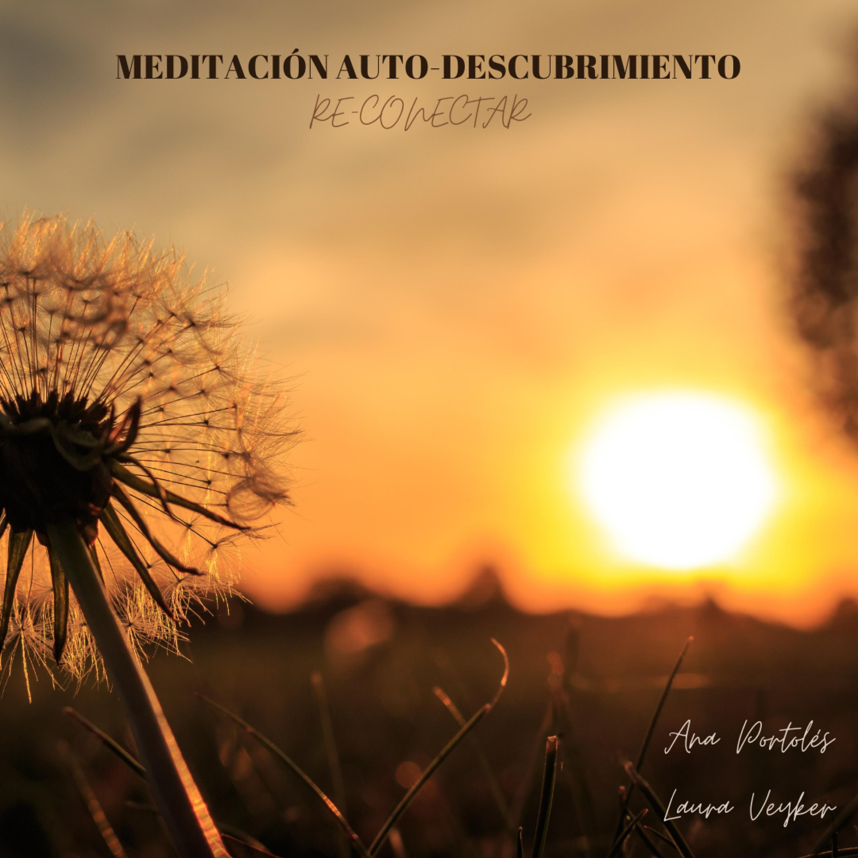 Meditación Auto-descubrimiento reconectar