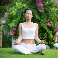 Zen Garden: Ambient Serenity for Mindful Meditation