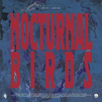 Nocturnal Birds