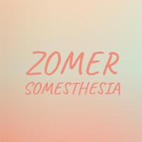 Zomer Somesthesia