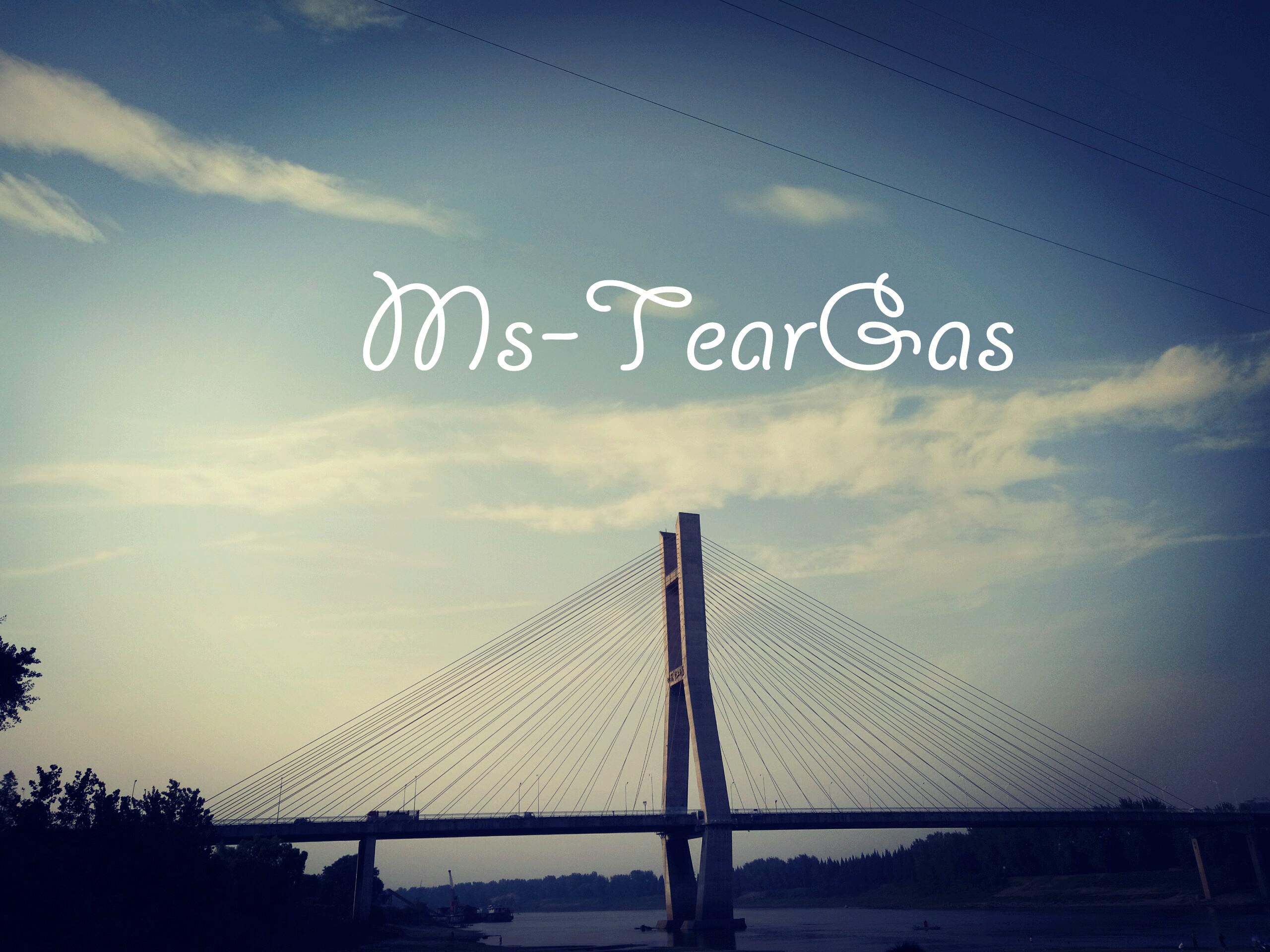 Hoaprox-Ngau Hung\/Remix - Ms-TearGas - 单曲