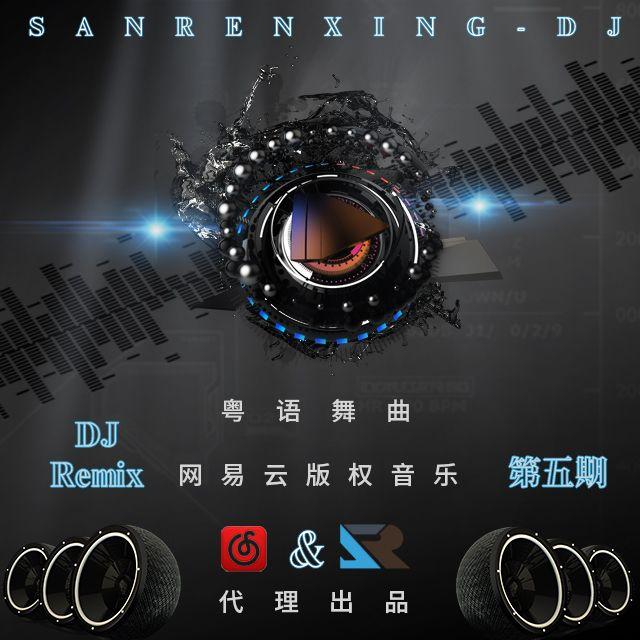 成龙-醉拳DJ版（包厢感）封面