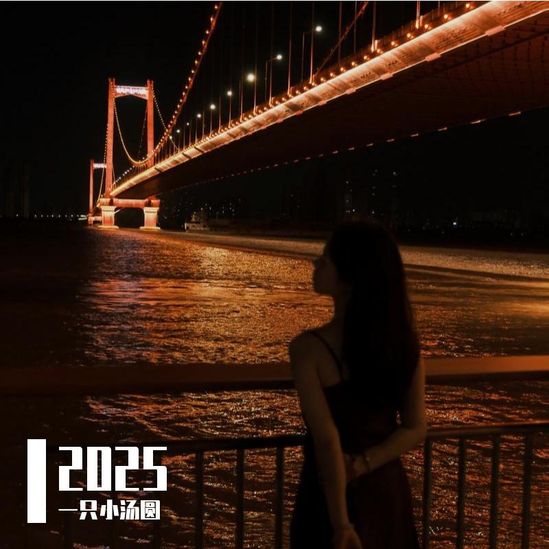 无处安放 - 一只小汤圆封面
