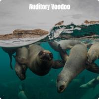 Auditory Voodoo