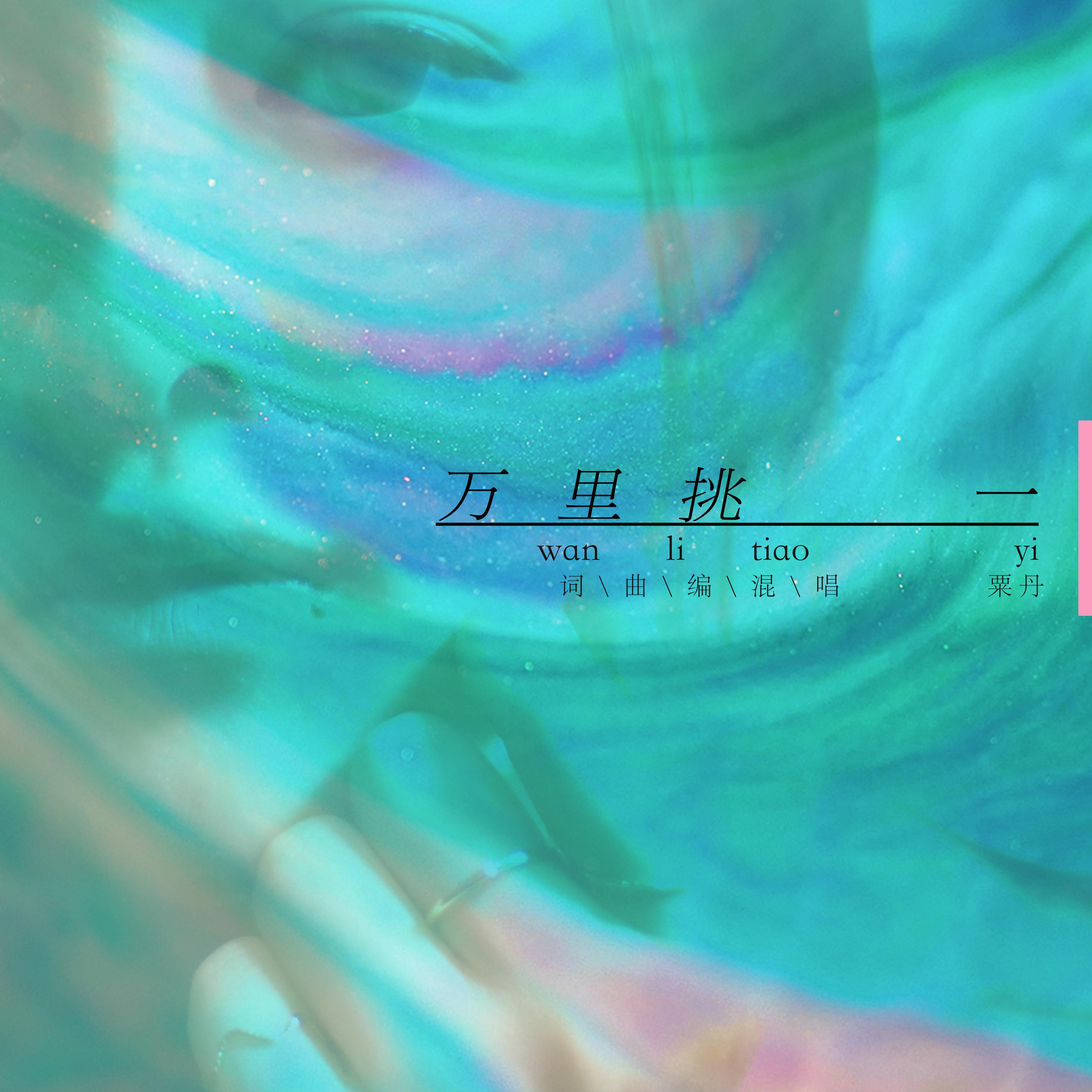 万里挑一封面