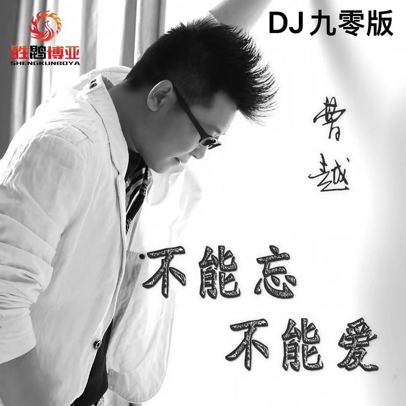 不能忘不能爱 (DJ九零版伴奏)封面
