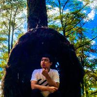 mfs mograph资料,mfs mograph最新歌曲,mfs mographMV视频,mfs mograph音乐专辑,mfs mograph好听的歌