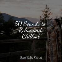 50 Sounds to Relax and Chillout For Dogs