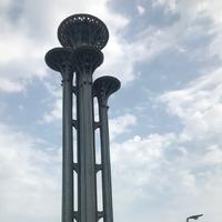 人类地板
