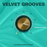 Velvet Grooves Volume 15 Livetone!