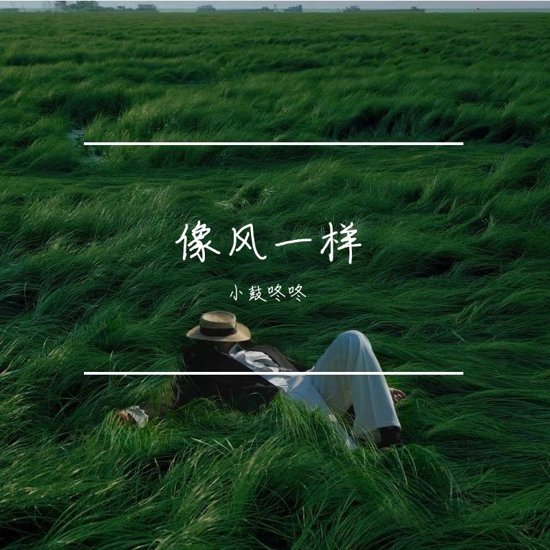 像风一样（Cover 薛之谦） - 小鼓咚咚封面