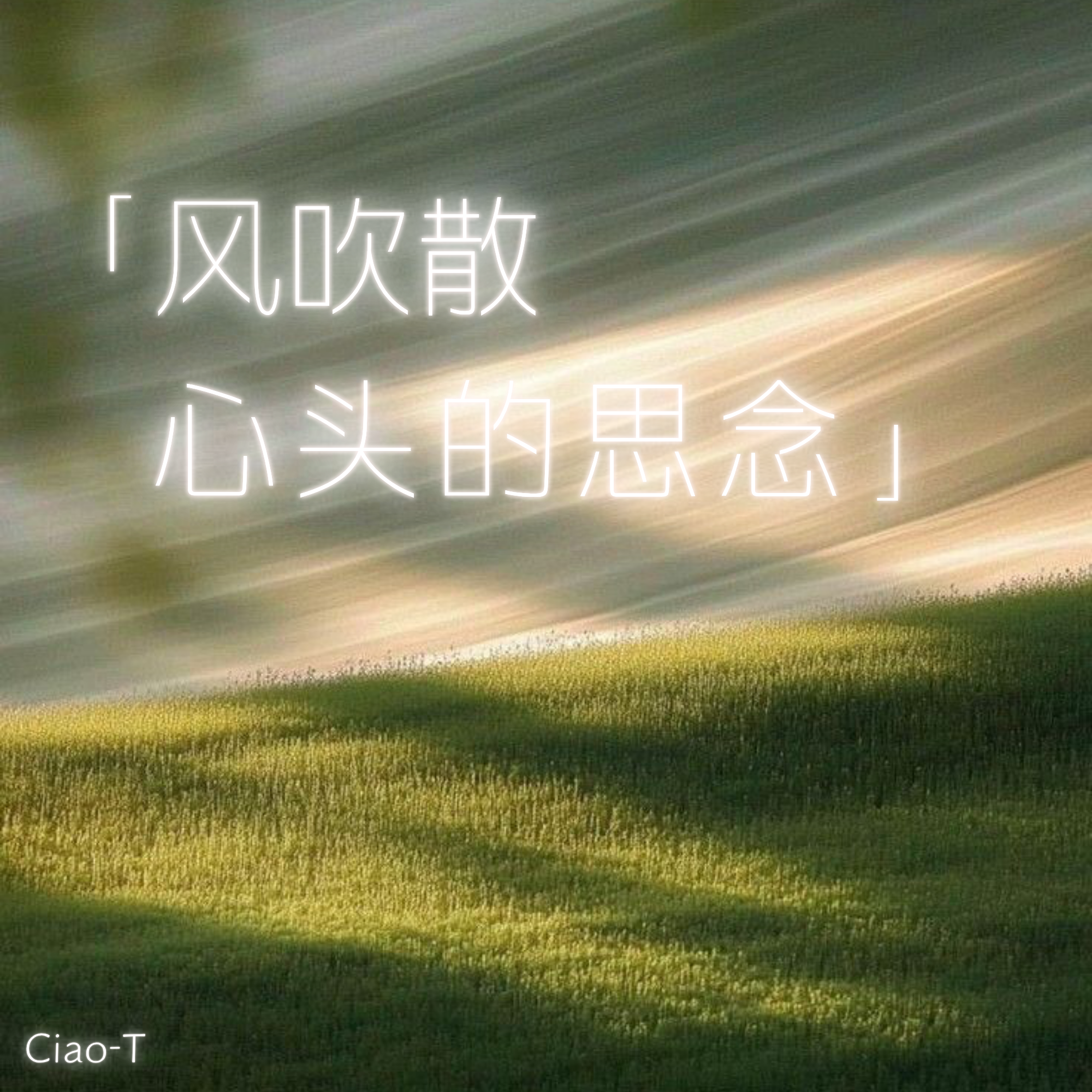 风吹散心头的思念（深情版）封面