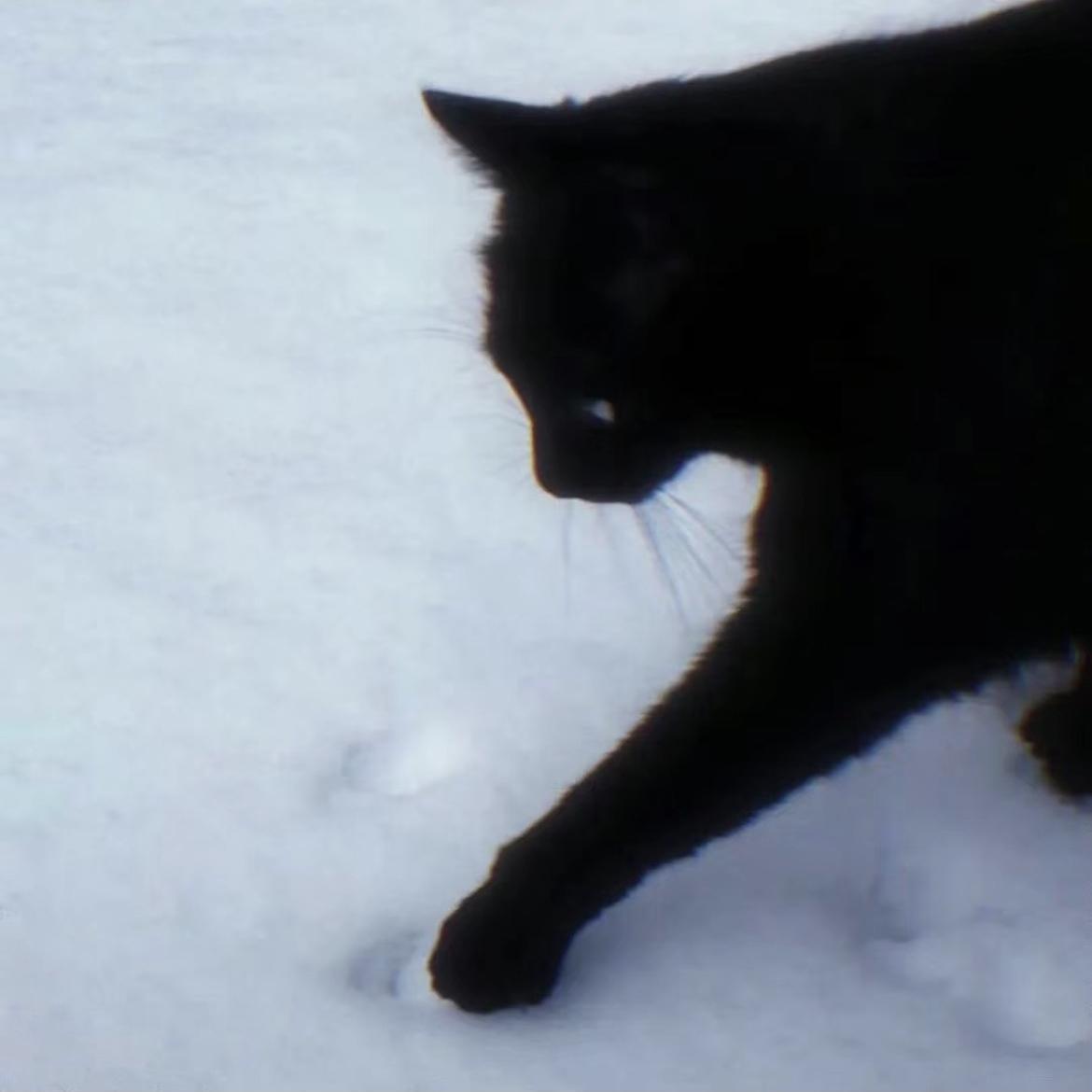 梦臆Deamy(Cover 邹沛沛）