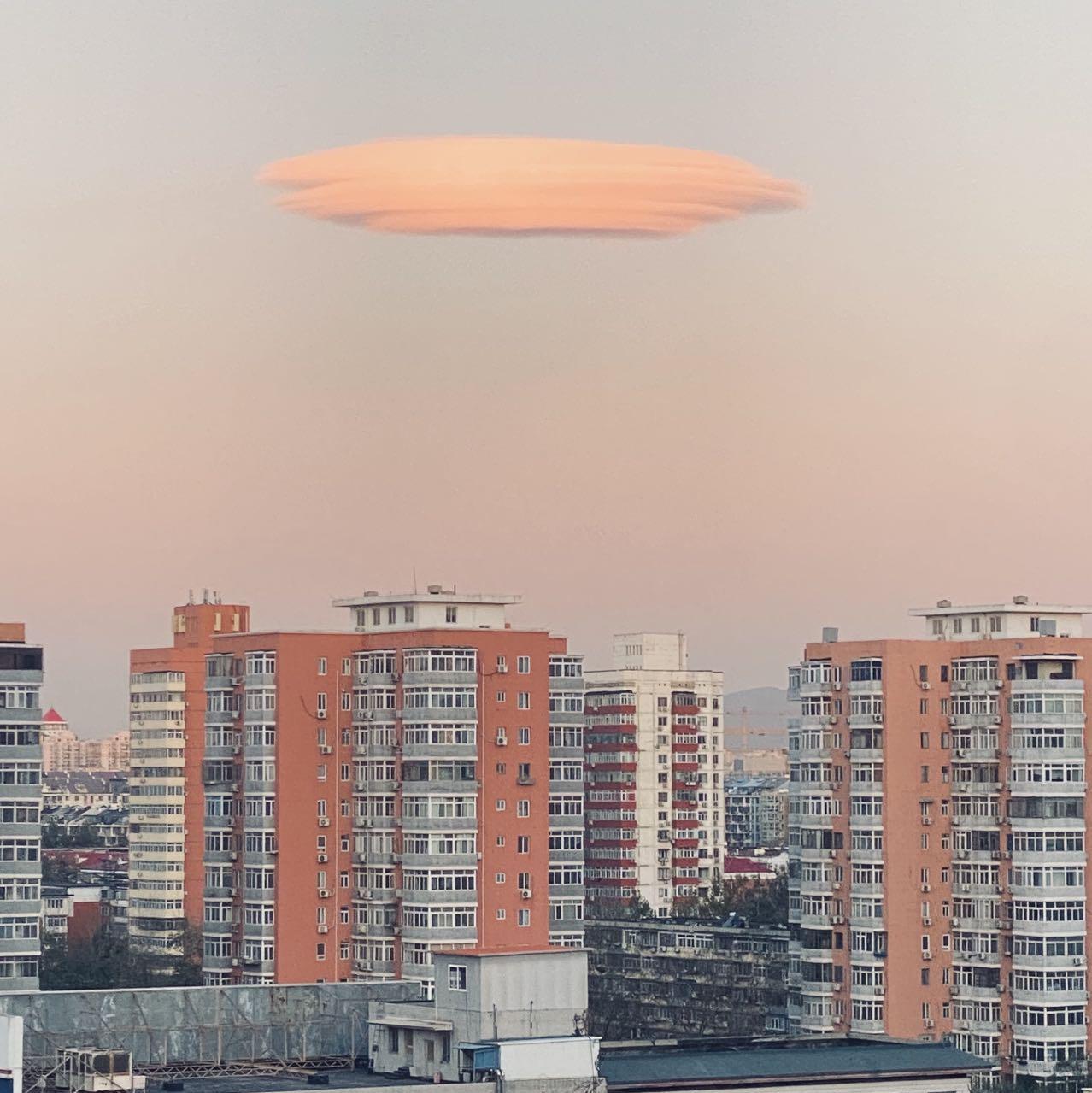 DOUDOU/福禄寿/森川/冰雪飞 自选集
