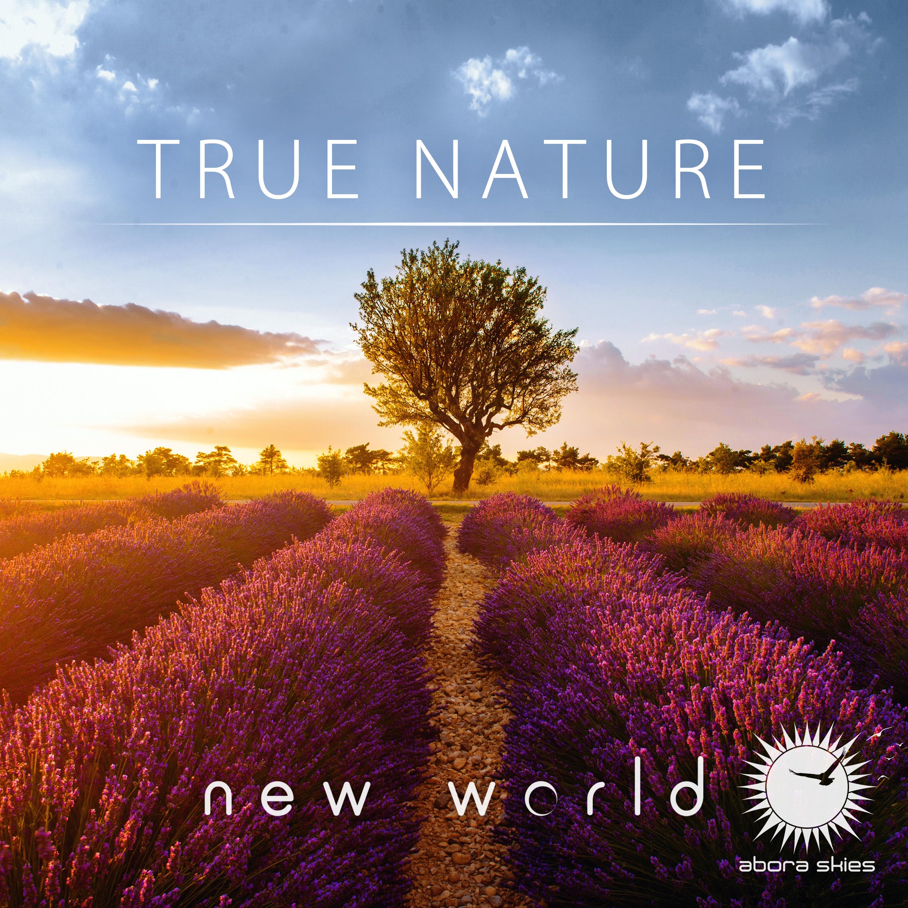 True Nature (Emotional Intro Mix)封面