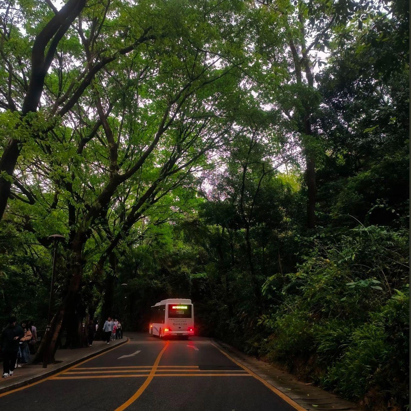 风吹雾(前奏）封面