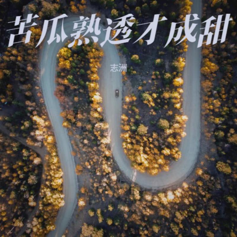 苦瓜熟透才成甜封面