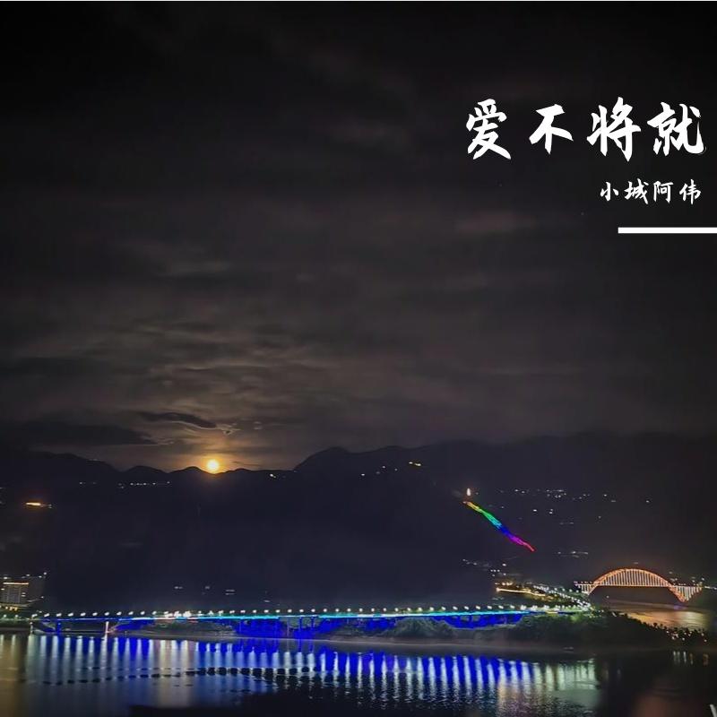 踏雪寻归处 - 小城阿伟封面