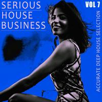 Serious House Business - Vol.7